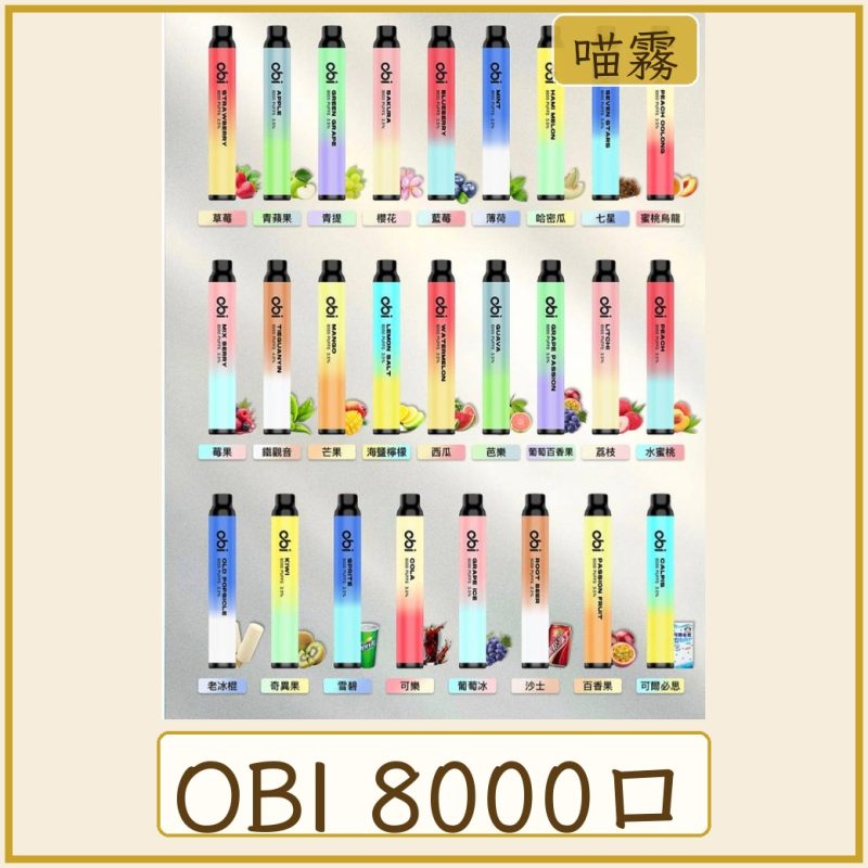 OBI 8000口